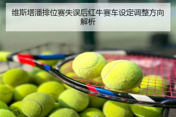 维斯塔潘排位赛失误后红牛赛车设定调整方向解析